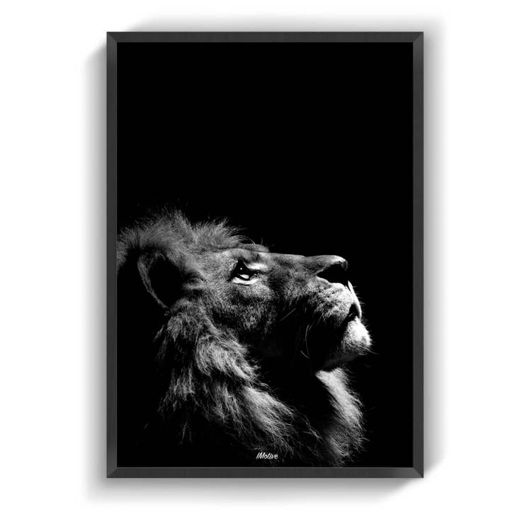 Rei por atacado de IMotive