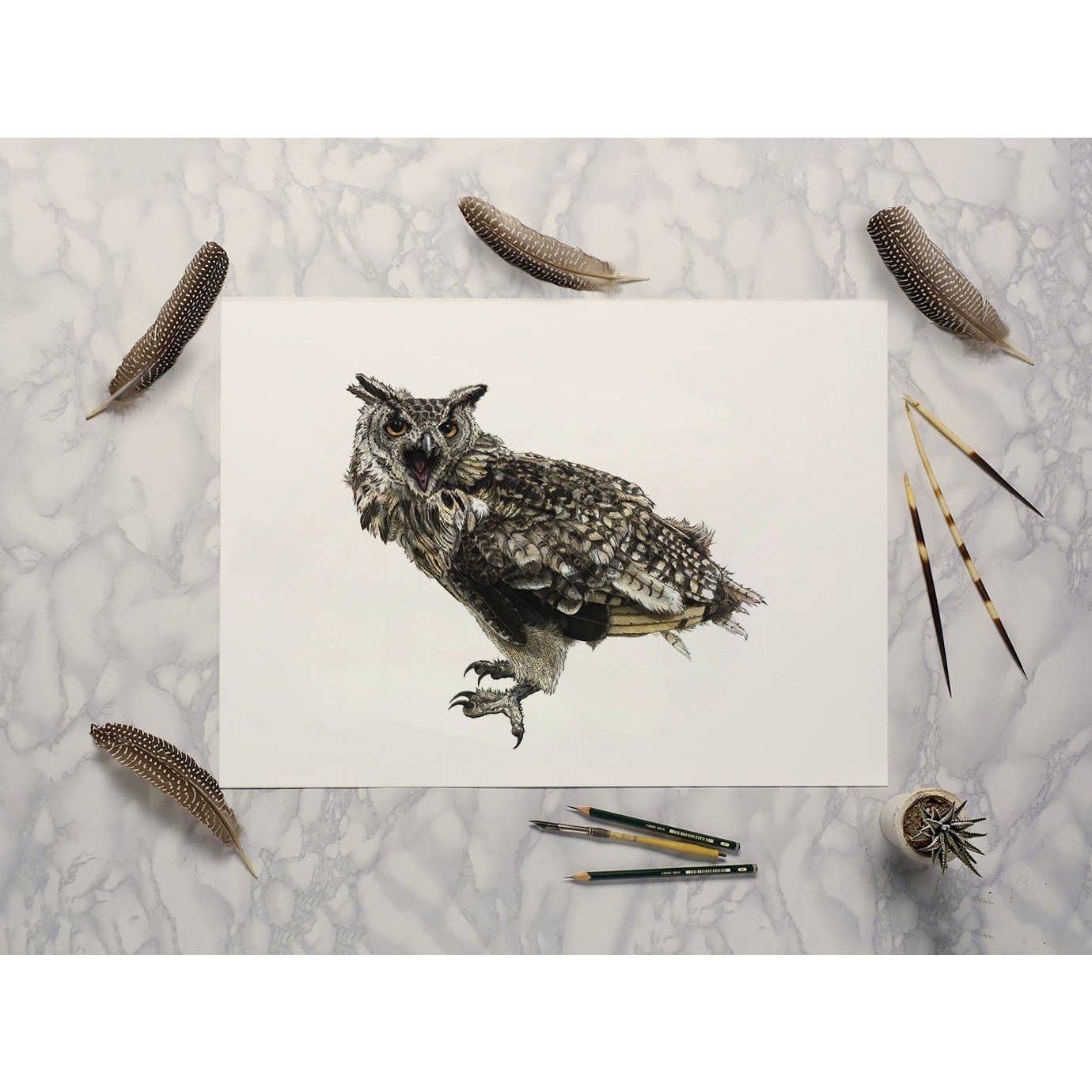 Hidden Planet - Wholesale Art Print - African Eagle Owl - A4 Print (landscape)3