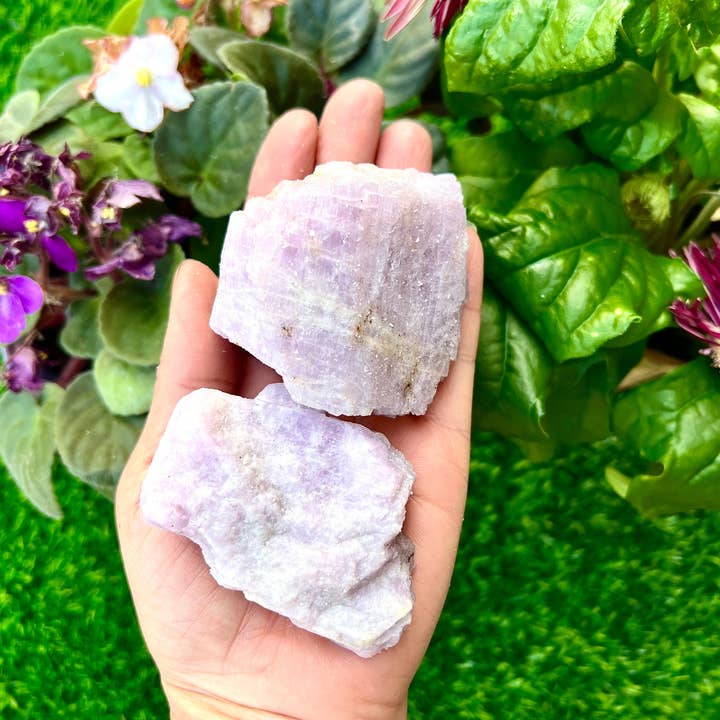 KayleeNYC - Wholesale Spiritual Stone/Crystal - Wholesale Lot 2 lb Natural Kunzite Crystal Raw Nice Quality3