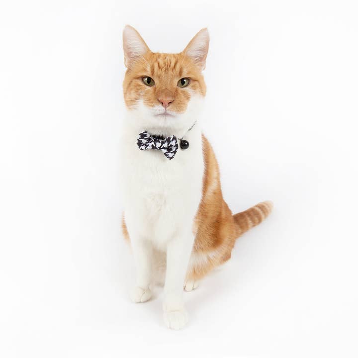 Little Kitty Co. - Wholesale Pet collar – Cat - CAT COLLAR & BOW TIE: Catstooth2