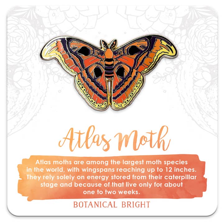 Atlas Moth Enamel Pin for wholesale by Botanical Bright