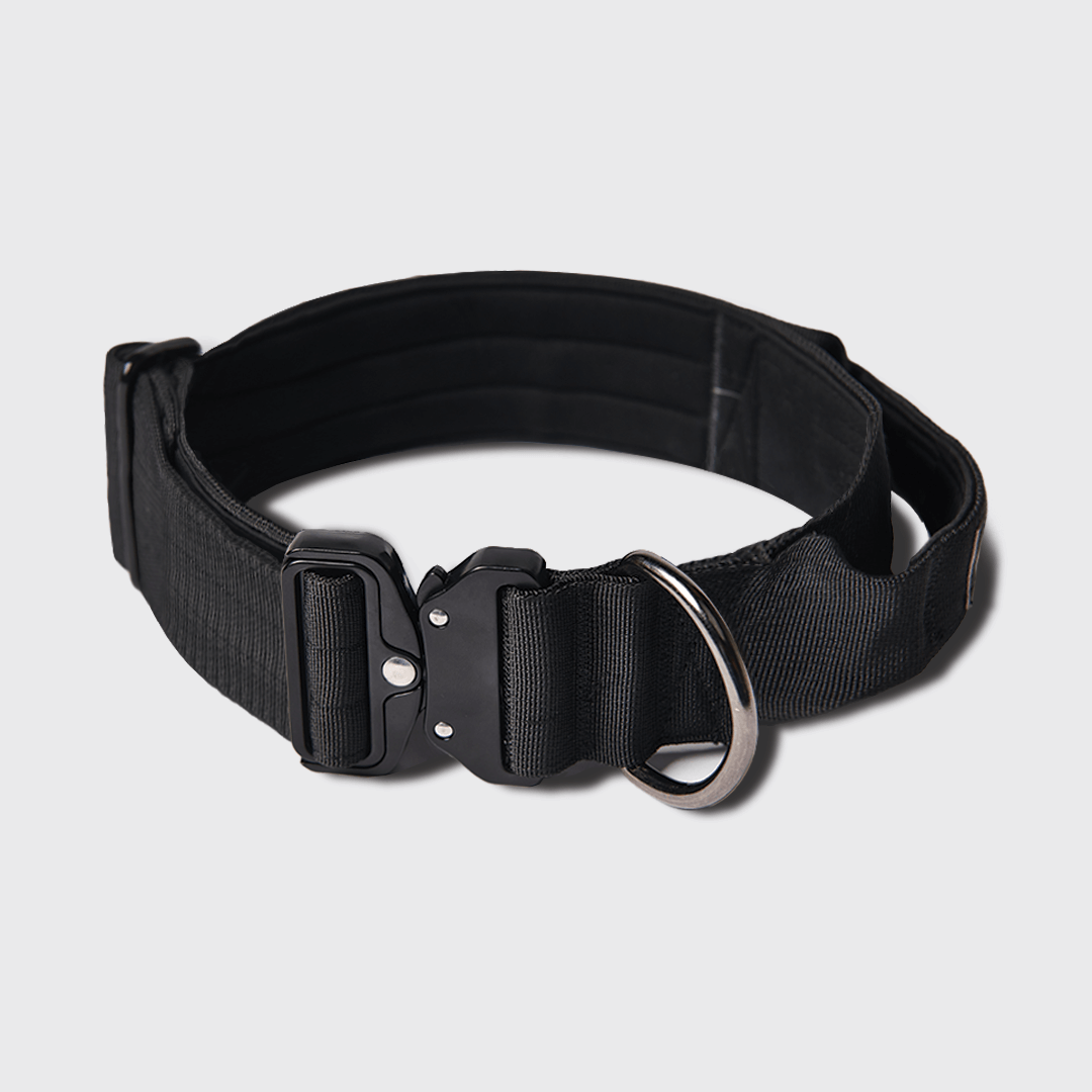 Spark Paws - Venta al por mayor Collar - Perros - Collar táctico para perro negro (5 cm)3