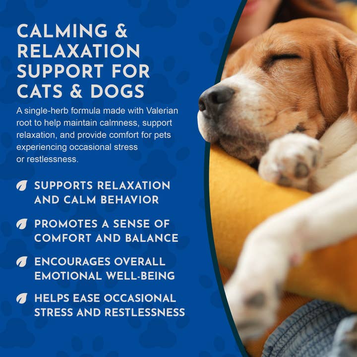 Animal Essentials - Wholesale Pet Supplement - Cat/Dog - Valerian Herbal Tonic | Promotes Calming Effect5