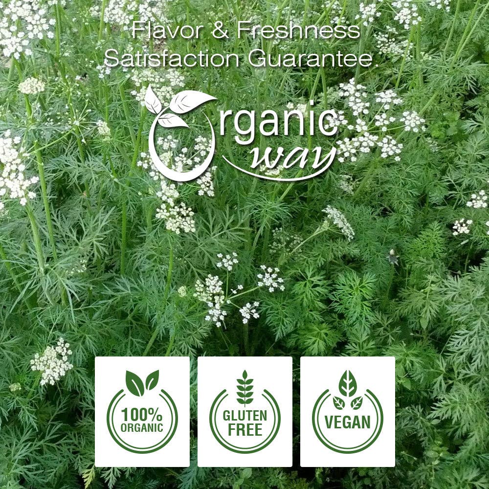 Organic Way LLC - Wholesale Dried Spice - Premium Cumin/Jeera Seeds Powder (Cuminum cyminum) - Adds Flavour & Aroma | Kosher Certified | Raw, Vegan, Non GMO & Gluten Free | USDA Certified | Origin - India2