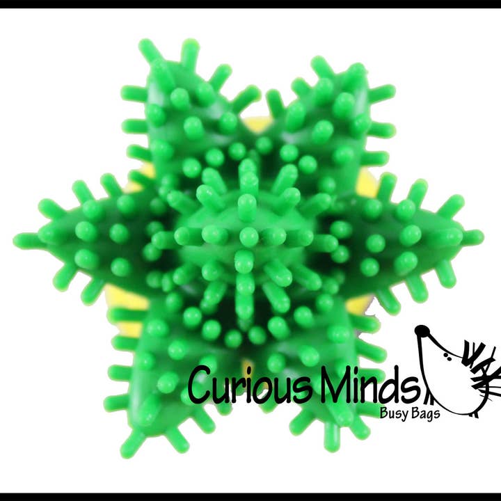 Curious Minds Toys - Wholesale Squishy toy – Kids & Baby - 1 Cute Pinapple Hedge Balls - Spiky Wooly Porcupine Balls4
