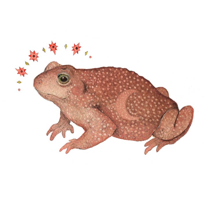 5"x7" Print - The Astral Toad for wholesale by Polanshek of the Hills