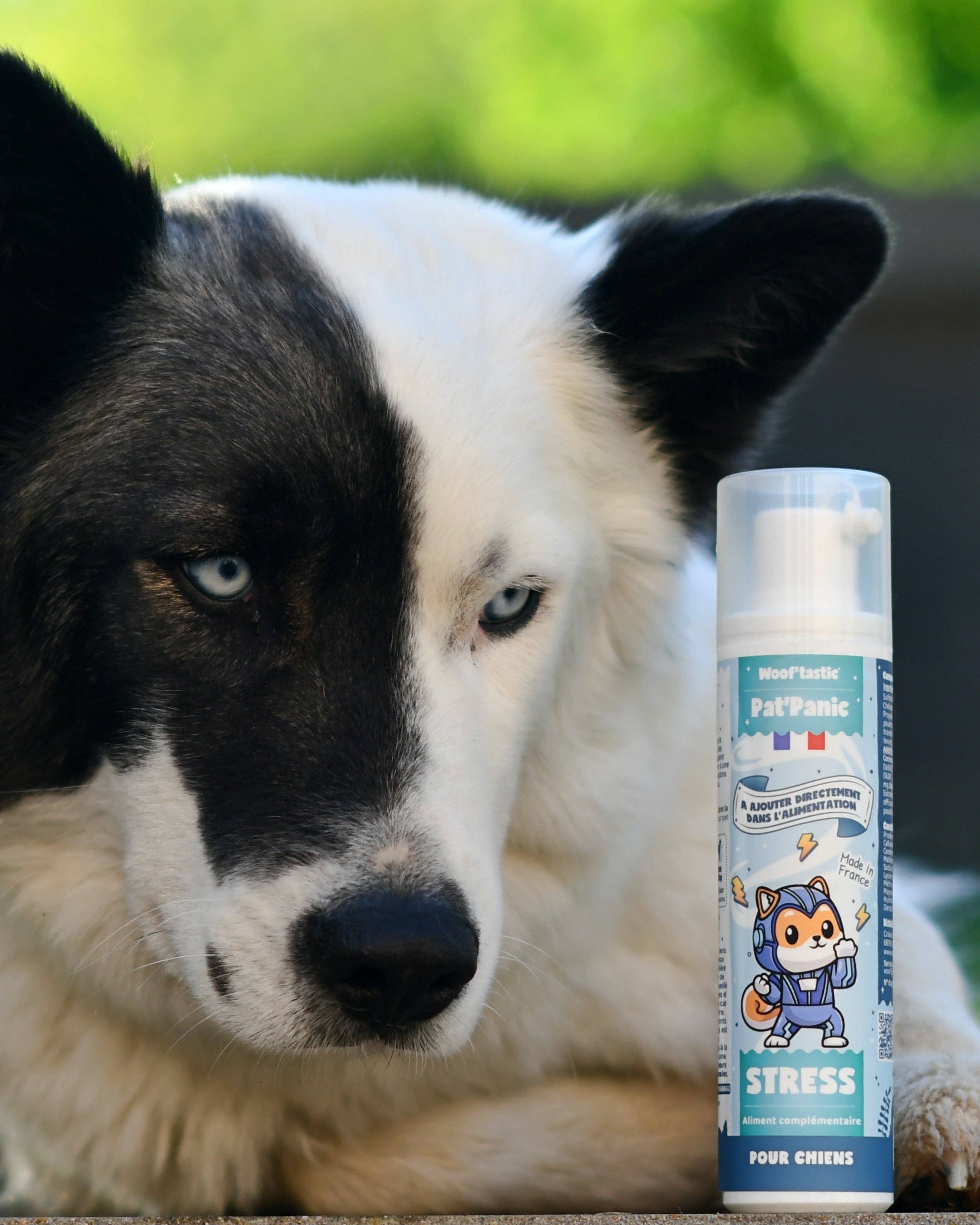 Woof’tastic - Wholesale Pet Supplement - Cat/Dog - Pat’Panic - Natural anti-stress supplement for dogs2