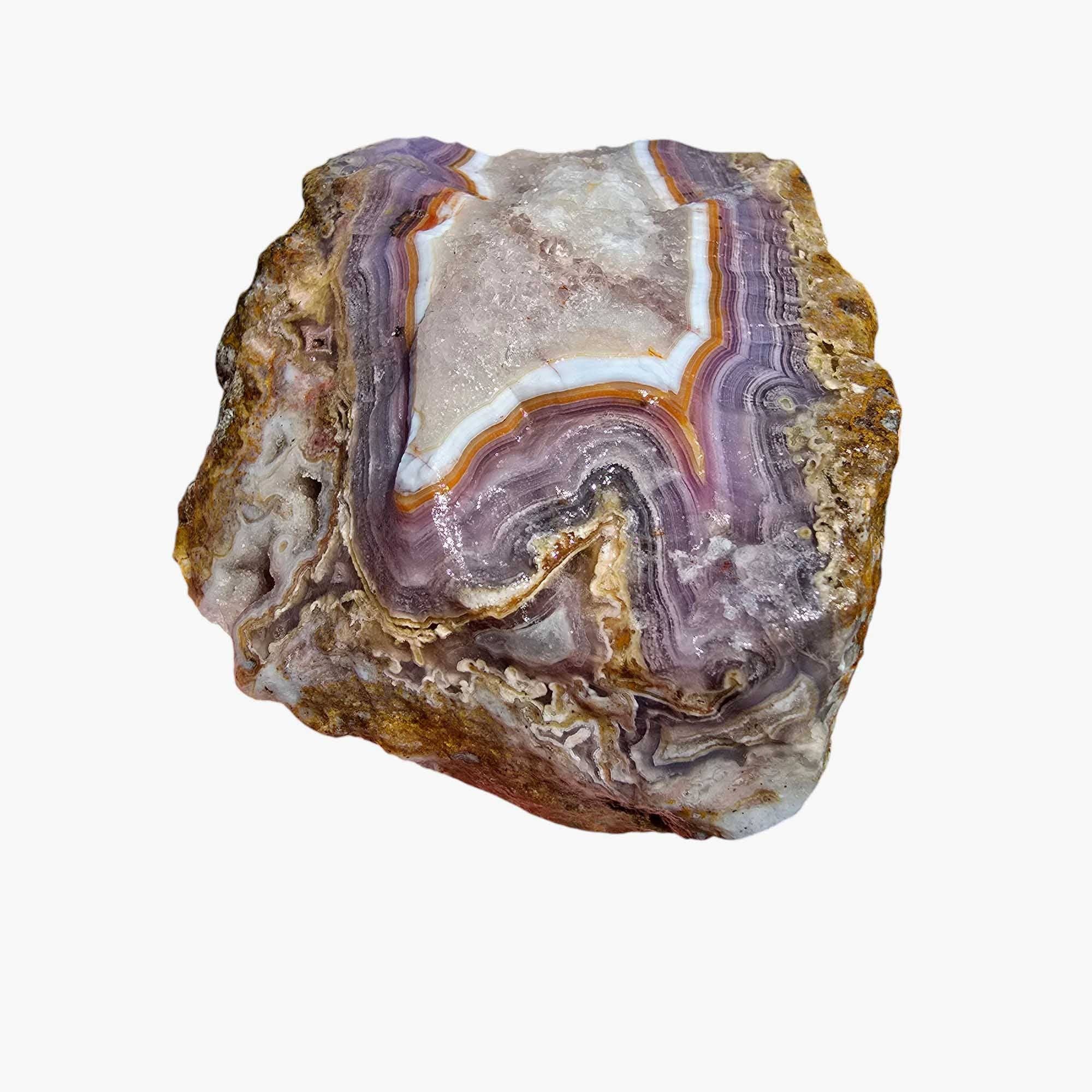 Lapidary Central – wholesale Andlig sten/kristall – Agua Nueva Agat Nytt Vatten Agat Rå Bit10