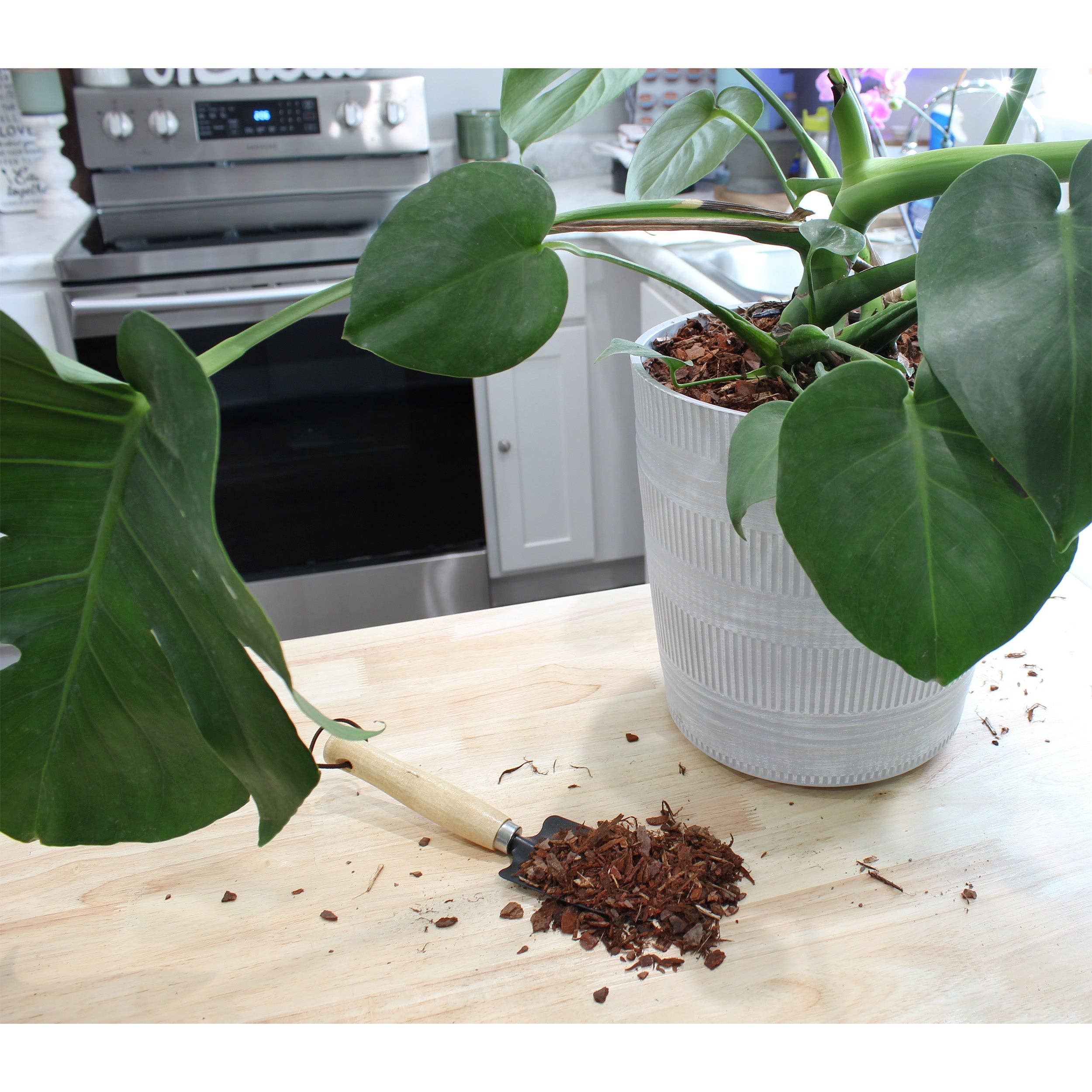 Kurated Korner – wholesale Planting/potting soil – Soil Sunrise 100% Natural Pine Bark Mulch Nuggets6