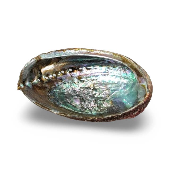 Arômes & Évasions – wholesale Smudge plate – Smudging - Abalone Shell