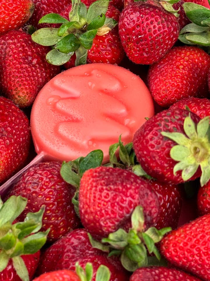 Färska balsamkakor gjorda med färska frukter och växter för wholesale av Mutt Fresh Bath & Body