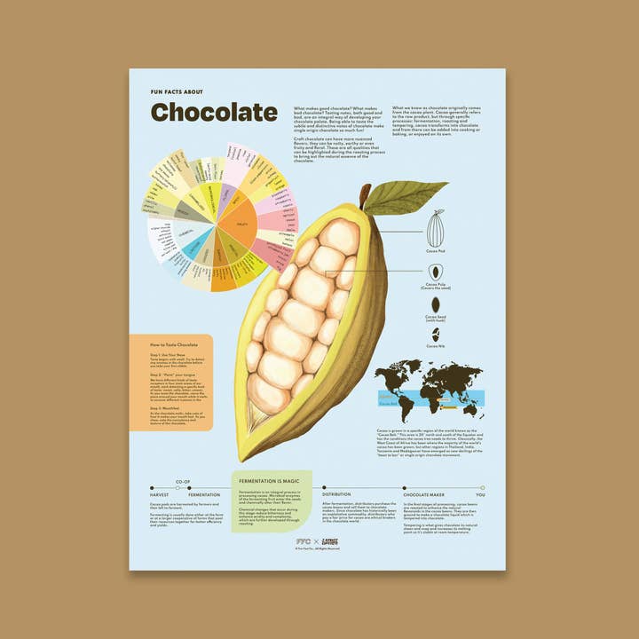 Fun Fact Co. - Wholesale Art Print - Chocolate Fun Facts Print