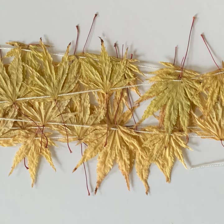 Twig and Snip - Wholesale Bunting/Garland - Dried Japanese Maple Leaf Garland GOLDEN- Natural Decor