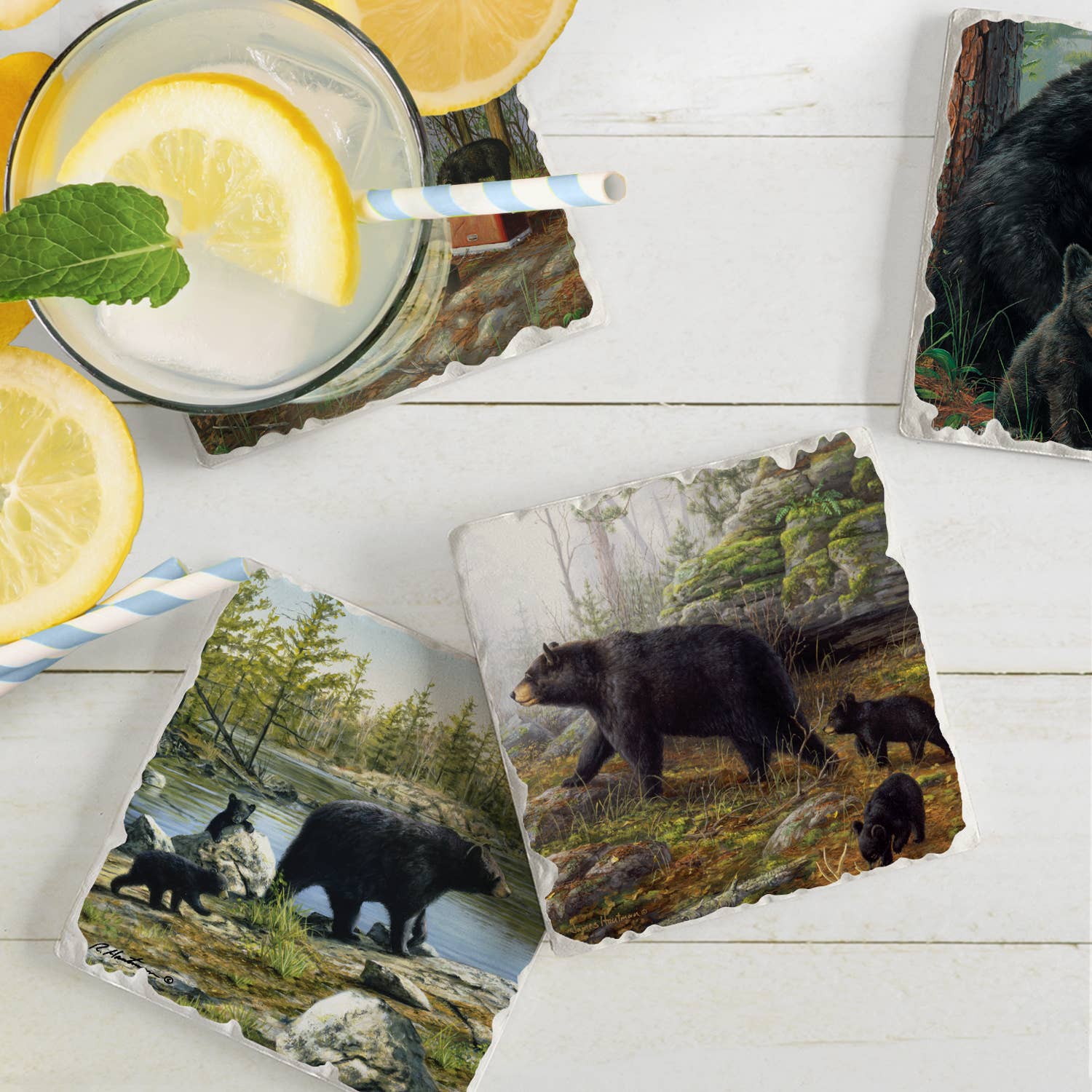 CounterArt/Highland Home/Thirstystone/CoasterStone - Venta al por mayor Posavasos - Posavasos con diseño surtido de imágenes de Keeping Watch, 4 unidades2