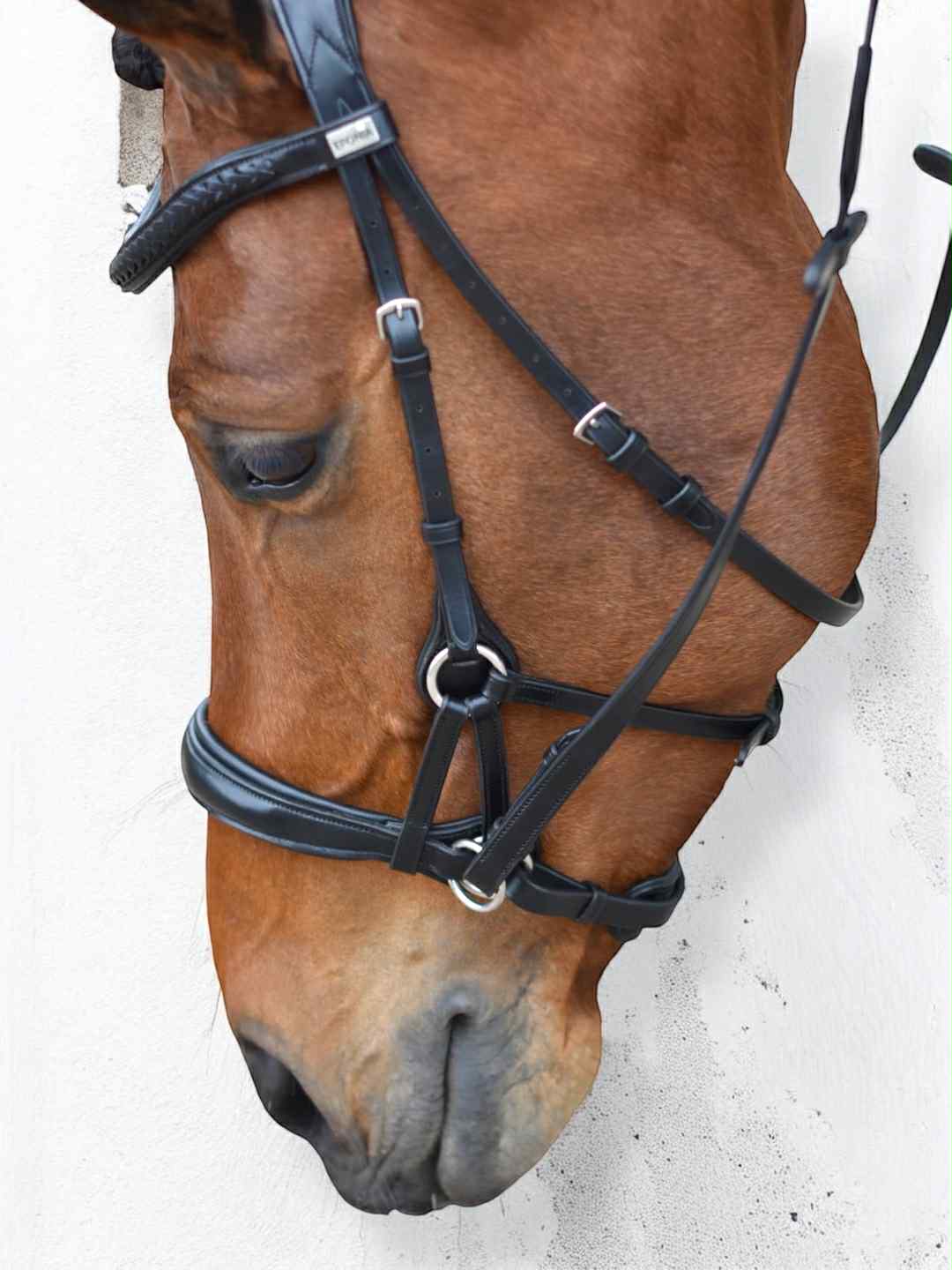 EPONIA EQUESTRIAN LIFESTYLE - Wholesale Horseback Riding Gear - Bridle bitless sidepull - Italian leather2