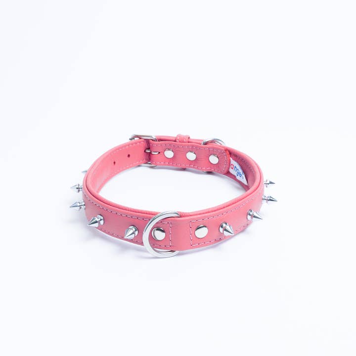 Angel Pet Supplies Inc. – Engroshandel Halsbånd - Hund – Rotterdam Spiked hundehalsbånd af ANGEL™