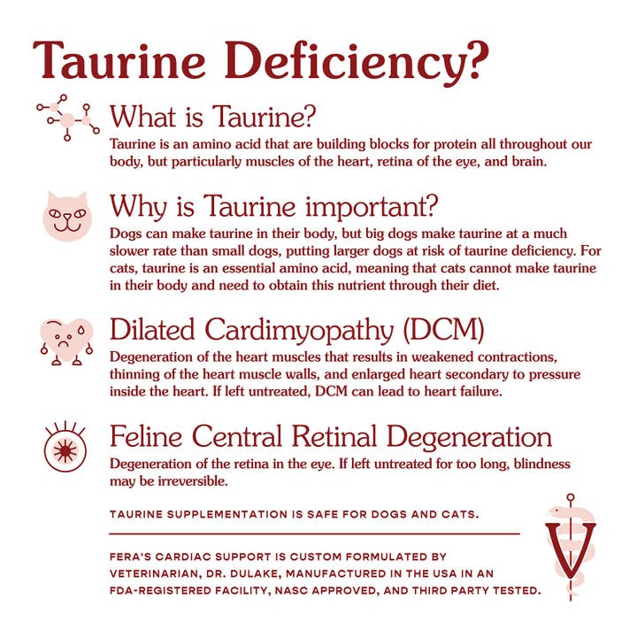 Fera Pets - Wholesale Pet Supplement - Cat/Dog - Cardiac Support for Dogs and Cats Pet Supplement6