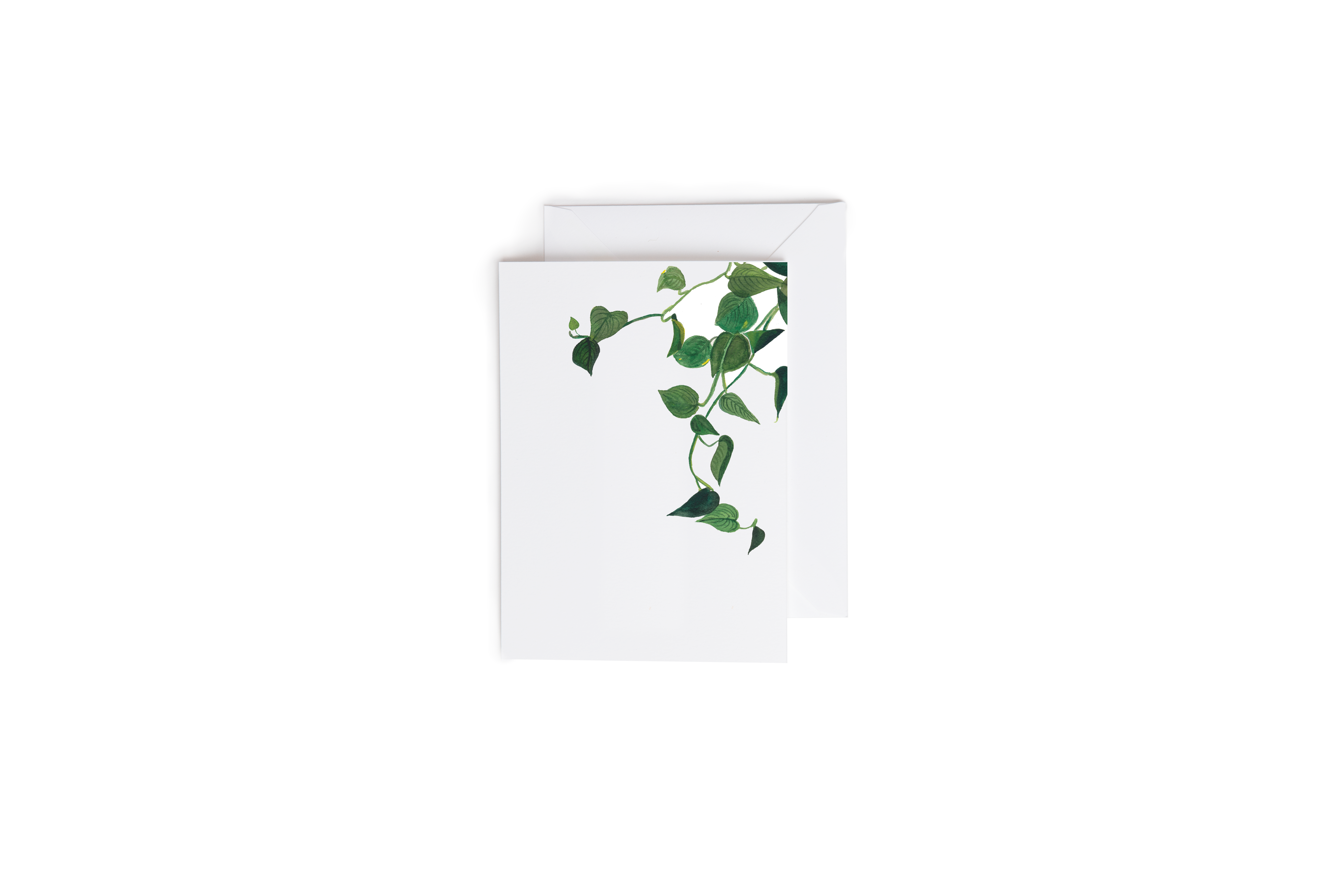 Good Sheila - Wholesale Everyday Greeting Card - Pothos Leaves Card0