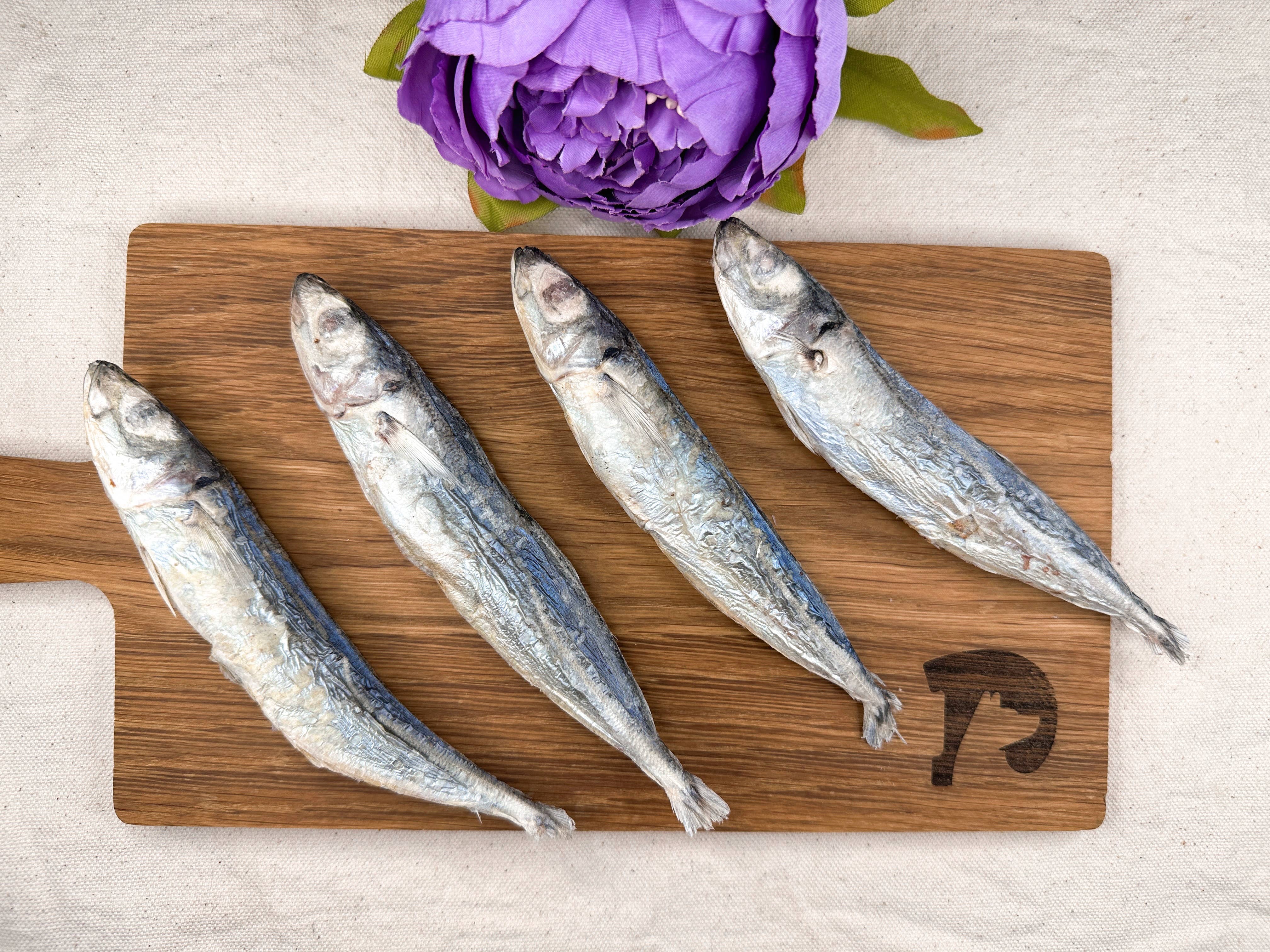 Droolicious - Wholesale Pet Treats - Dog - Freeze-dried Wild-Caught Round Scad1