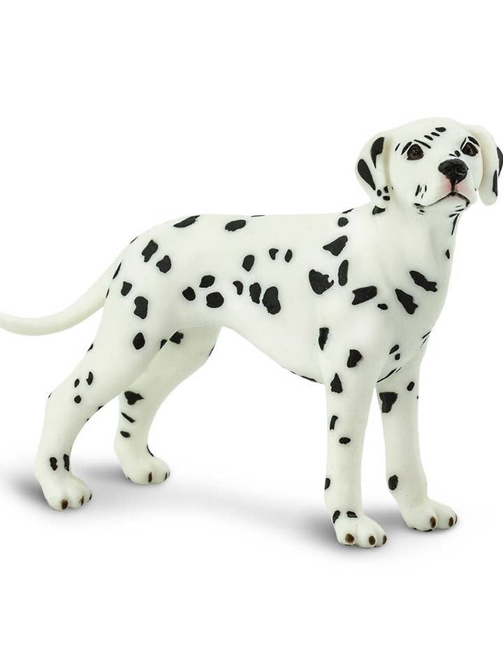 Dalmatian - 239529 and other Purchase Wholesale dalmation. Free Returns & Net 60 Terms on Faire trending on Faire.