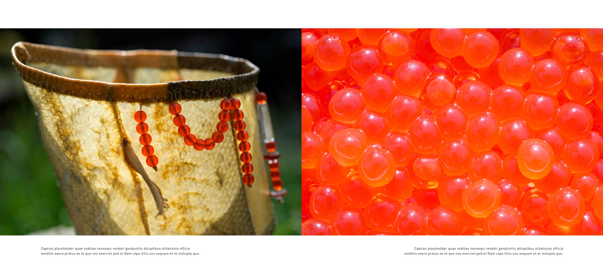 Mountaineers Books - Vendita all'ingrosso Nature & Outdoors - La via del salmone3