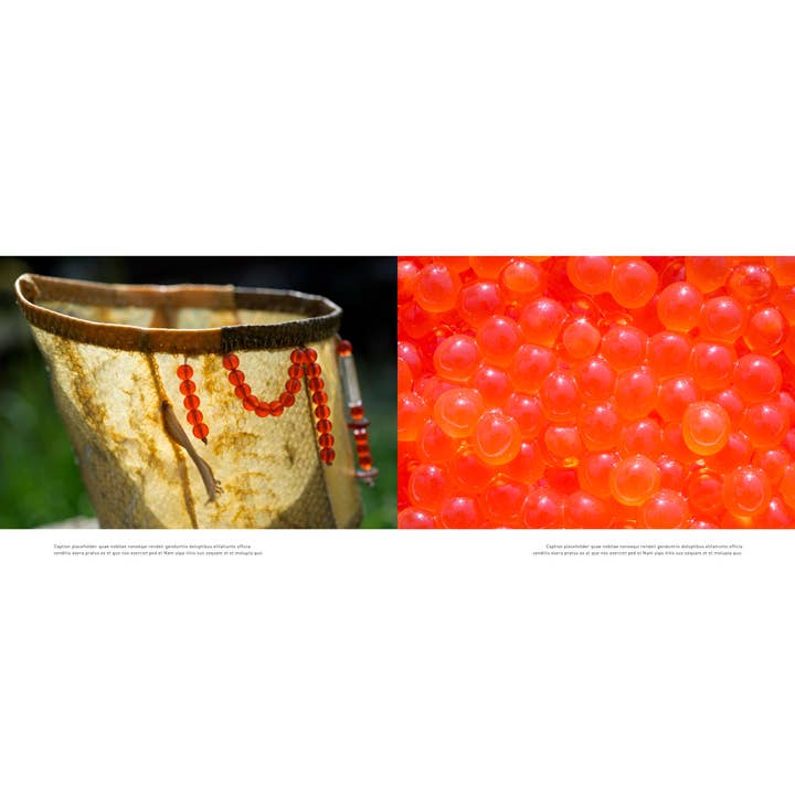 Mountaineers Books - Wholesale Nature & Outdoors - The Salmon Way3