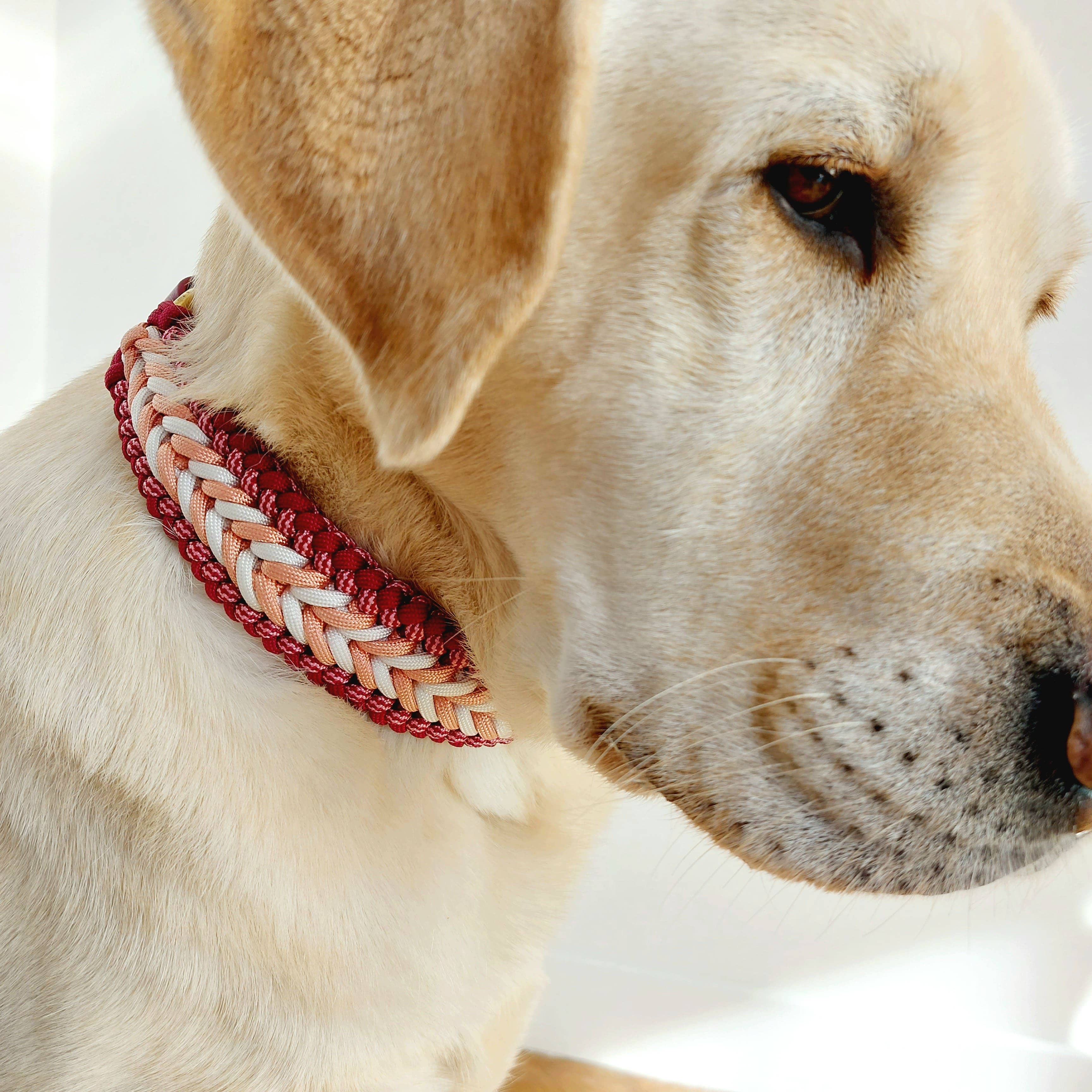 Truffe & Flair – Großhandel Haustierhalsband – Hund – Geflochtenes Hundehalsband - Biothane/Paracord - Himbeere