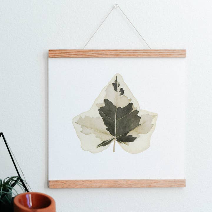 Variegated English Ivy Houseplant Art Print for wholesale by Come Alive Studio