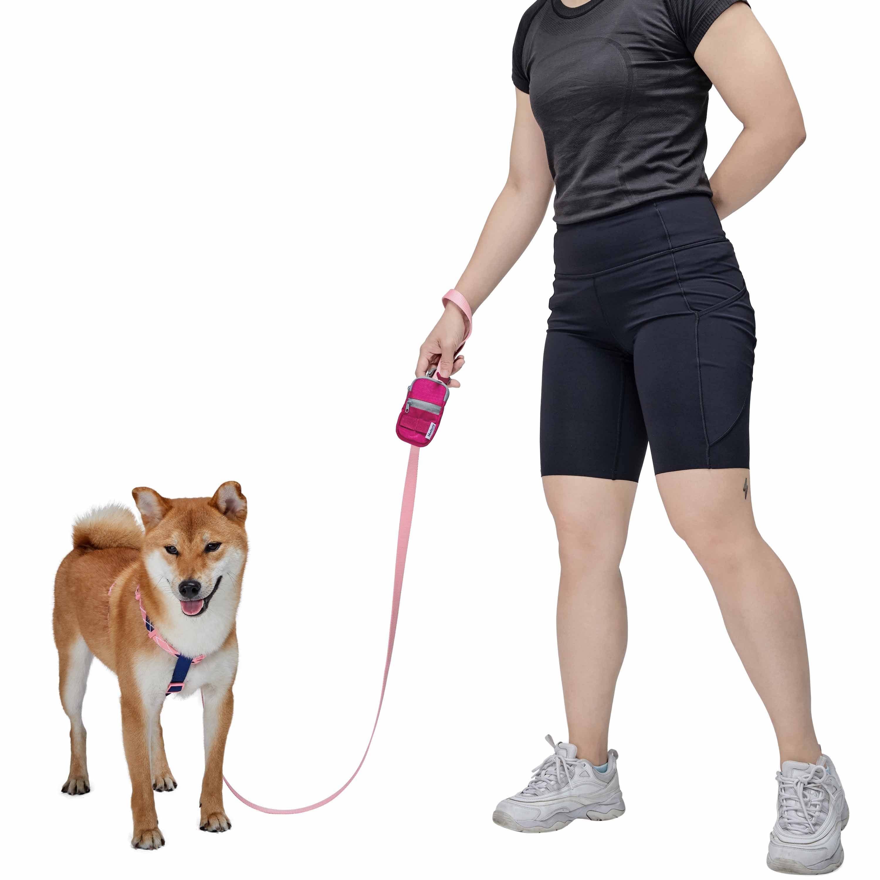 Blueberry Pet - Wholesale Novelty Candle - 1pc Dog Waste Bag Dispenser - Includes 1 Roll of Free Poop 9