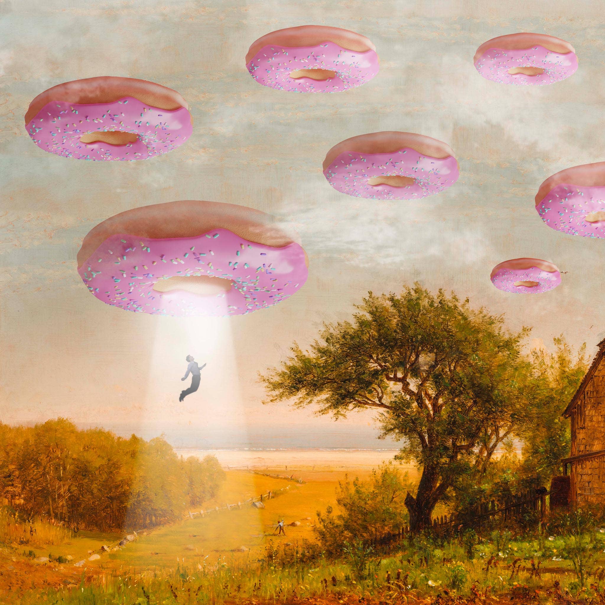 Dikhotomy - Wholesale Art Print - Lienzo impreso de invasión de donuts3