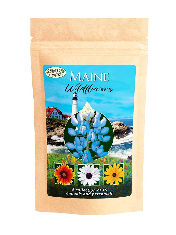 Maine Wildflower Seed Mix for wholesale by Created By Nature