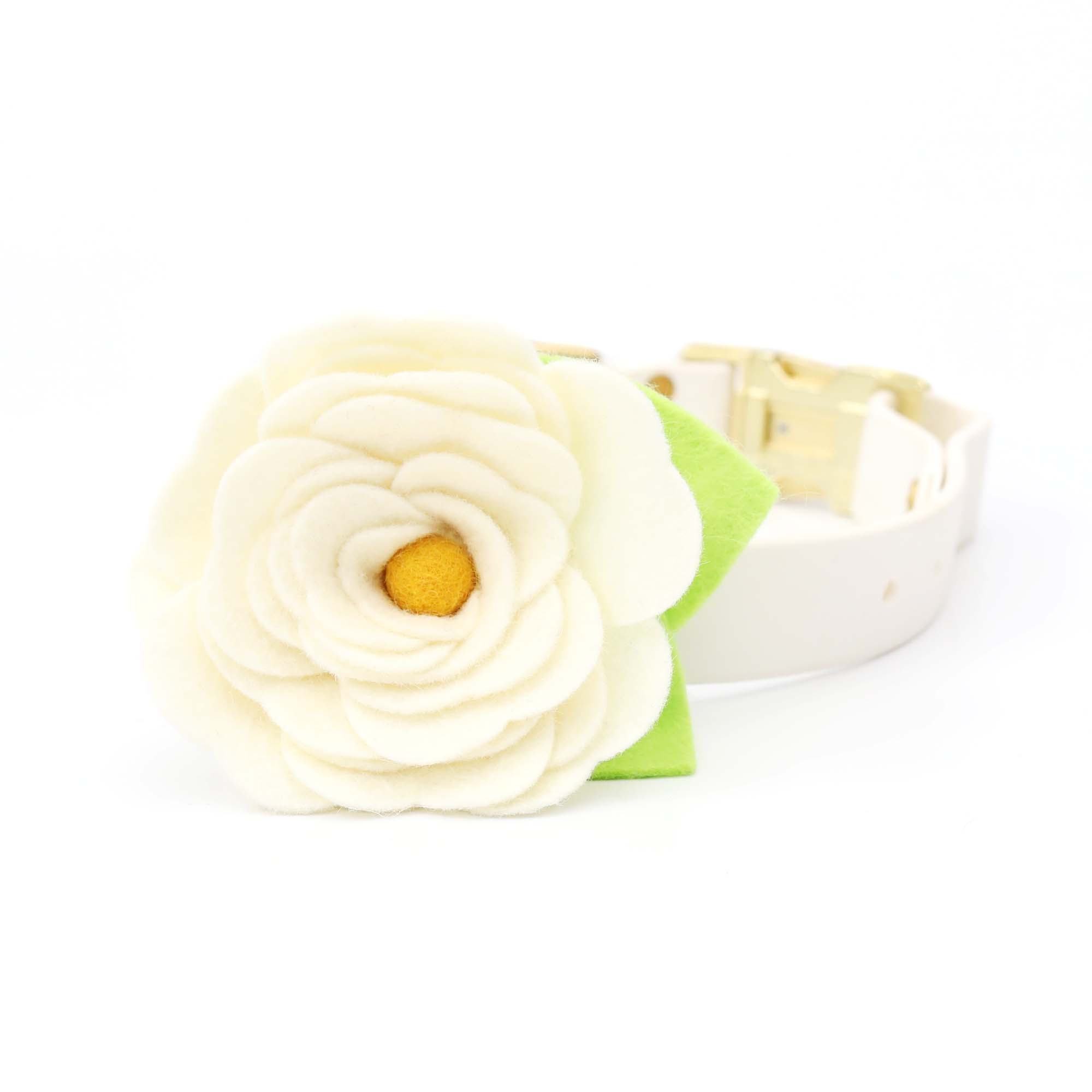 Mimi Green - Vendita all'ingrosso Collare - Cani - Collare per cani Magnolia bianco crema con fiore2