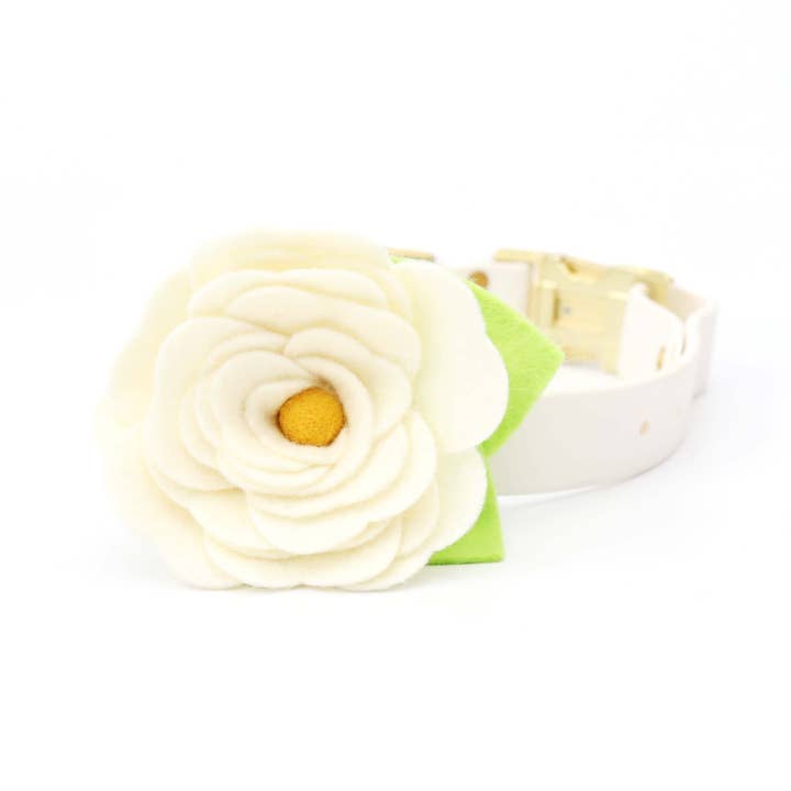 Mimi Green - Vendita all'ingrosso Collare - Cani - Collare per cani Magnolia bianco crema con fiore2