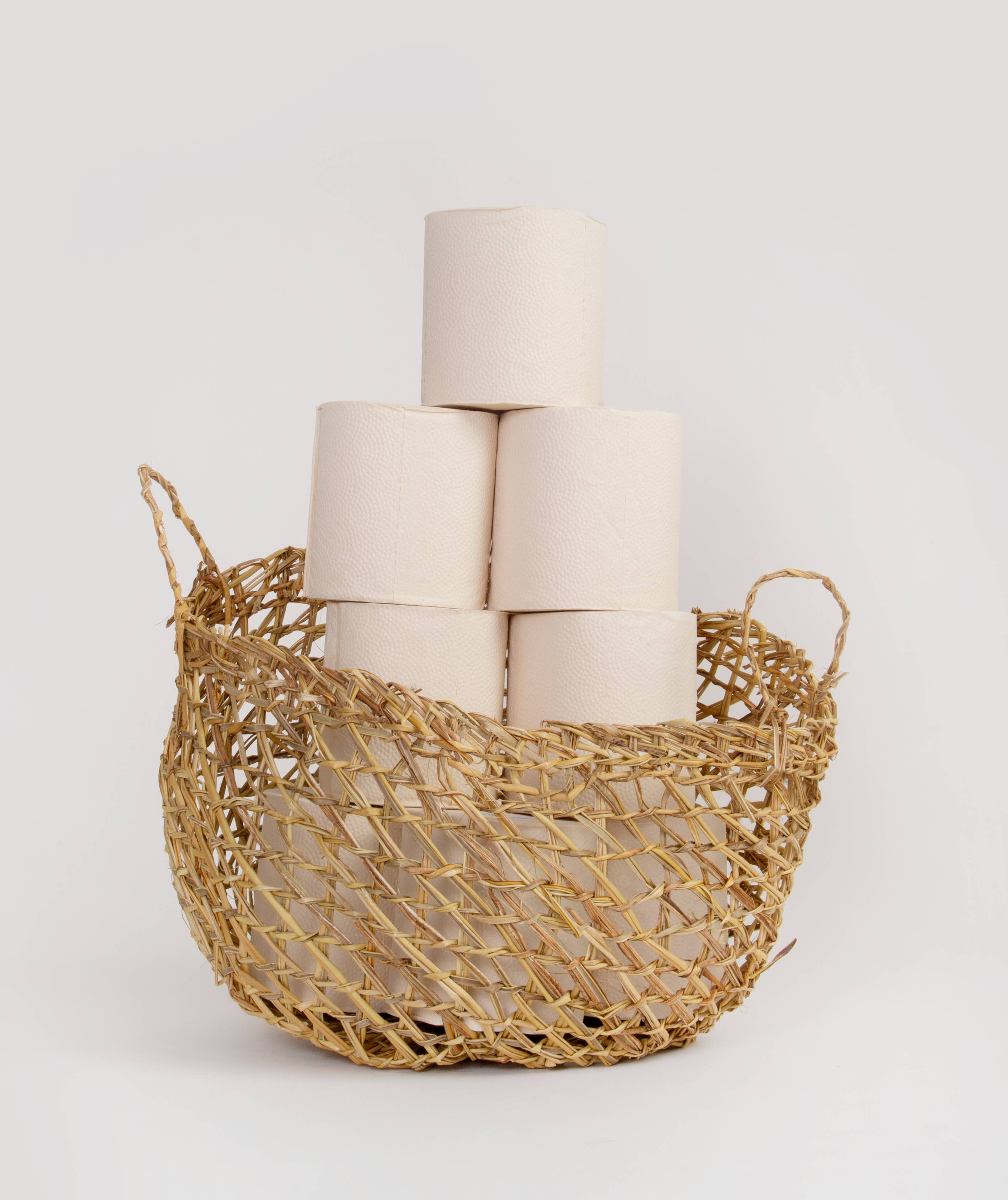 PlantPaper - Wholesale Toilet Paper - 8 Pack Case5