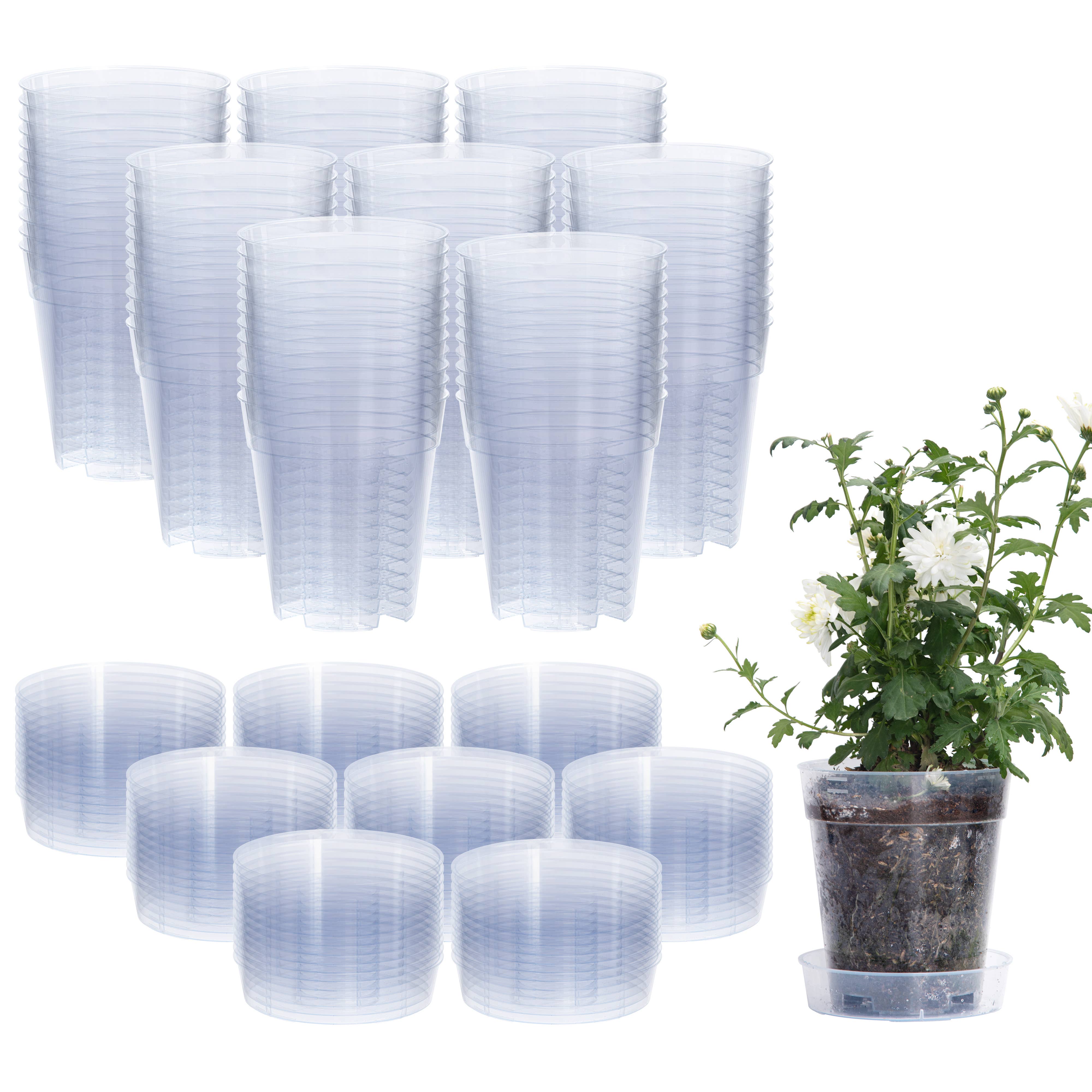 D'VINE DEV – Engroshandel Plantekrukke – KLAR PLANTESKOLEKRUKKE MED EN SAMMENLÅSENDE UNDERBAKKE, 6,5" X 7"2