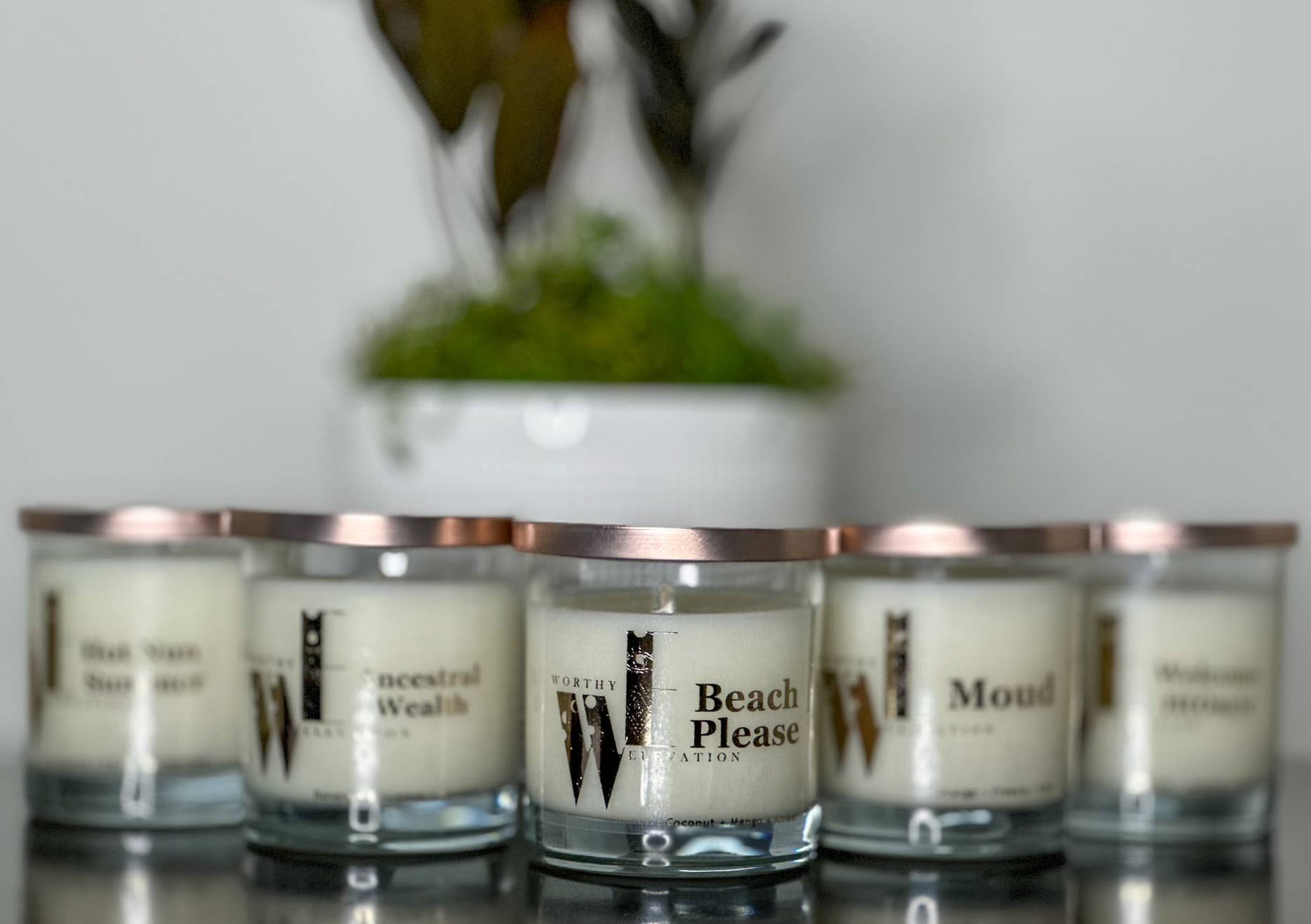 Worthy Elevation - Wholesale Jar/Filled Candle - Beach Please Floriental Scented Candle2