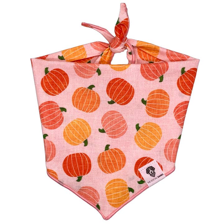 Pumpkin Toss Tie-On Dog Bandana for wholesale by The Social Dawg