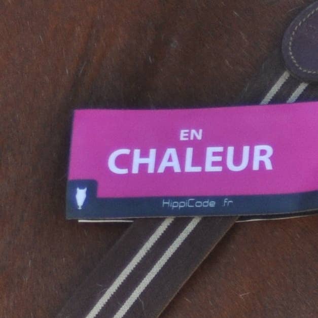 Scratch front/back HippiCode® IN HEAT for wholesale by AniCode