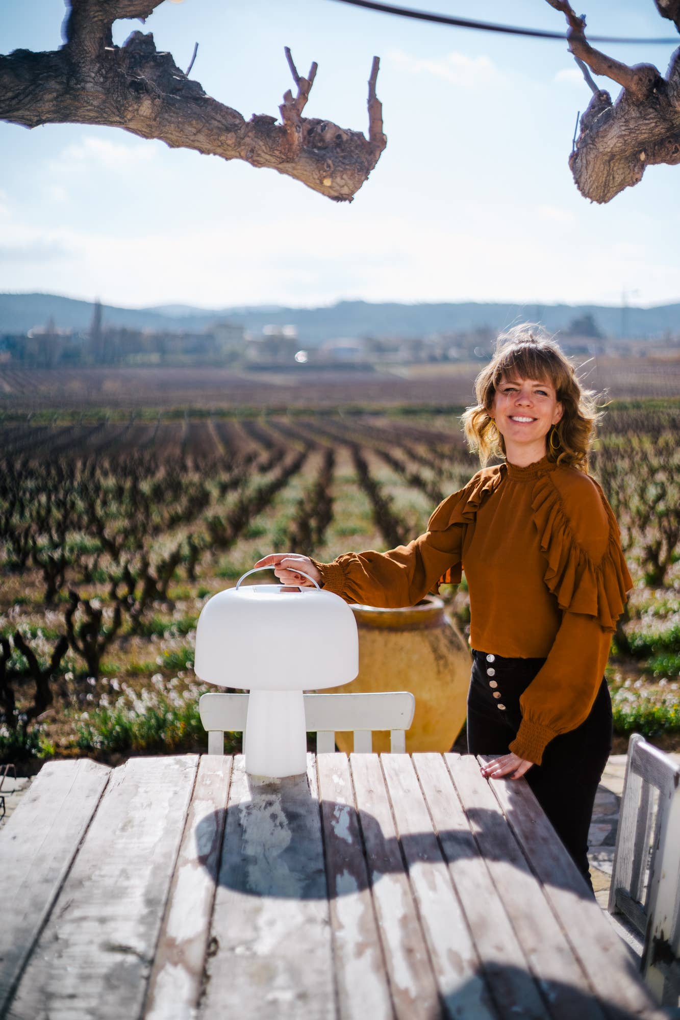 Goodnight Light - Wholesale Accent/Desk Lamp - The Boleti Lamp - Solar powered, portable lamp9