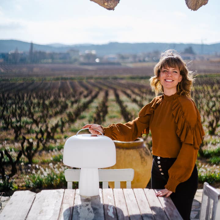 Goodnight Light - Wholesale Accent/Desk Lamp - The Boleti Lamp - Solar powered, portable lamp9