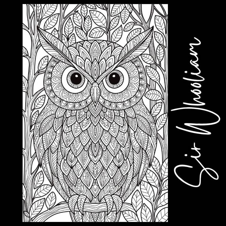 Sir Whooliam – Giant Coloring Page (24x36") for wholesale by Tons of Hues