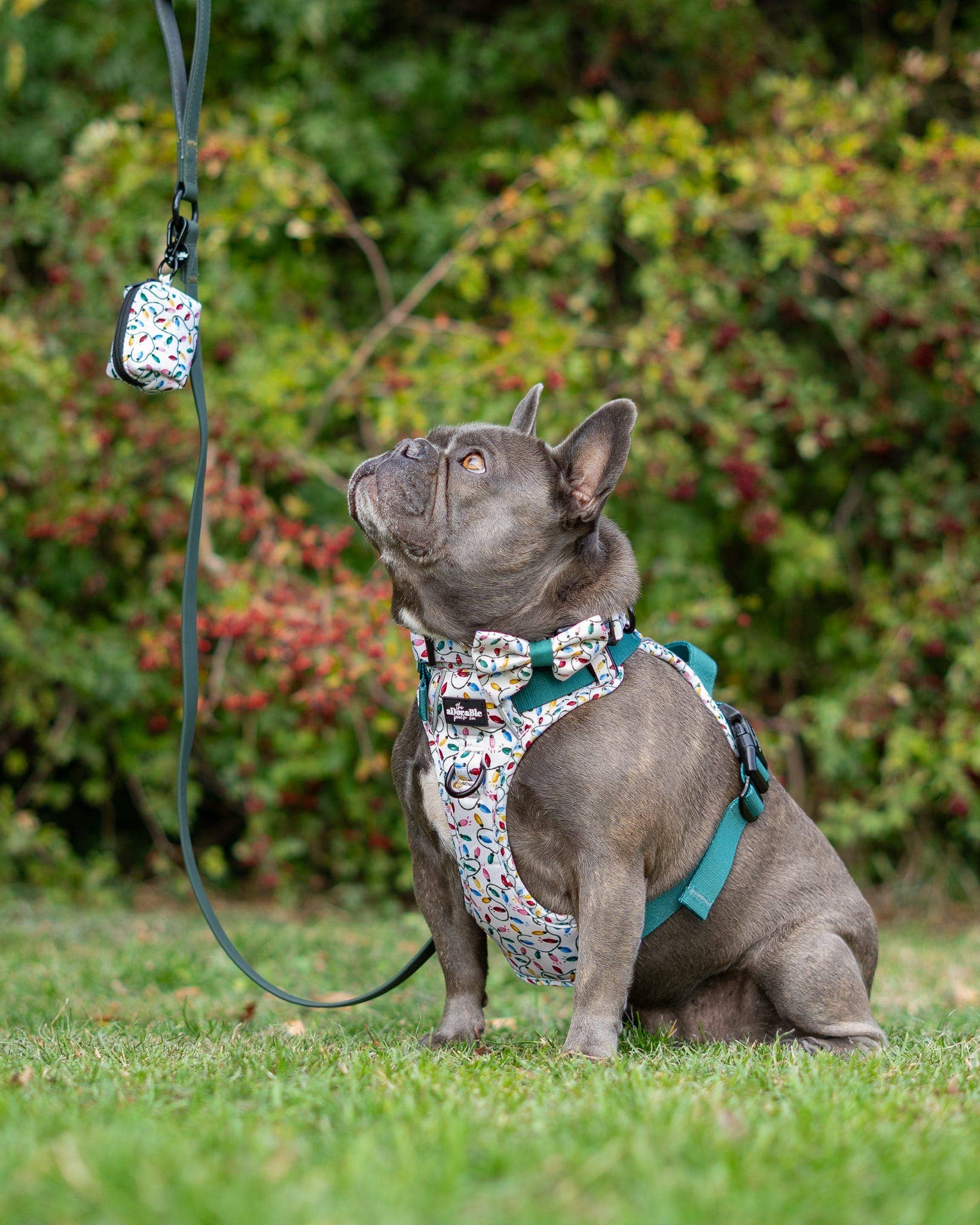 The aDoraBle Pooch Company – wholesale Pet poo bag dispenser – Dog Poop Bag Holder - Festive Lights2