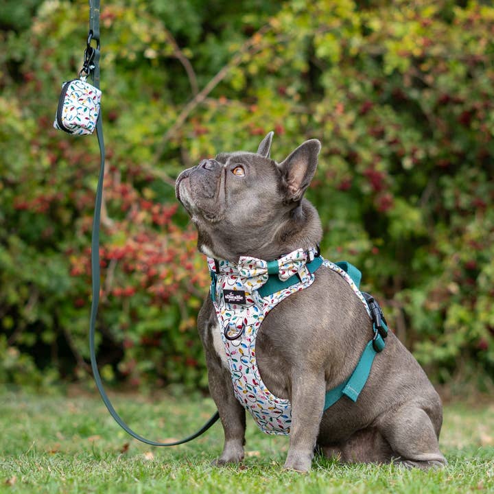 The aDoraBle Pooch Company – wholesale Pet poo bag dispenser – Dog Poop Bag Holder - Festive Lights2