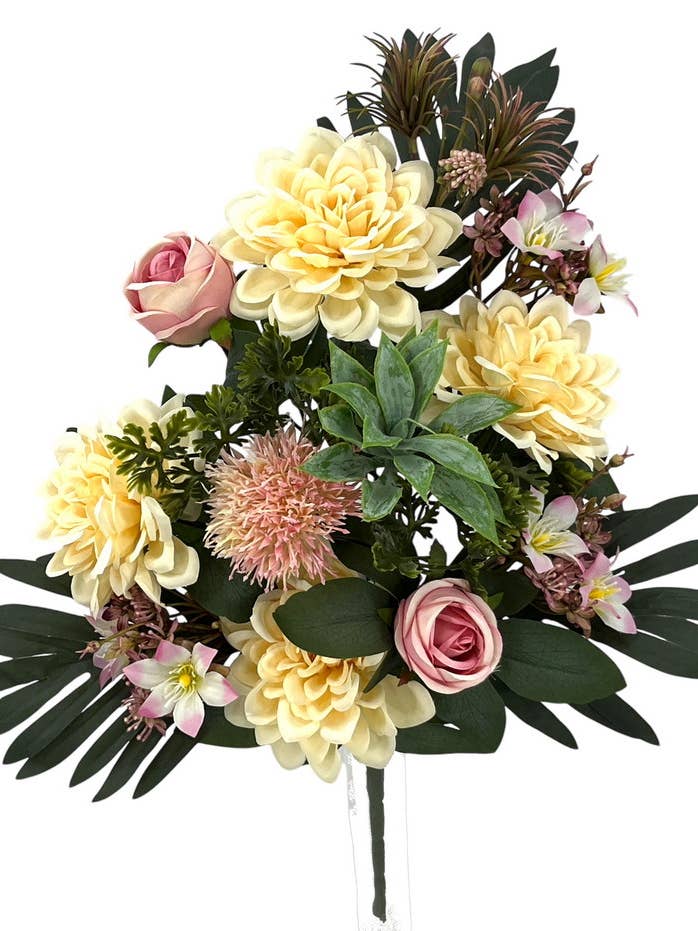 R.U/C. DALIA/ALIUM X12 CREAM 50cm for wholesale by Aguilar Málaga