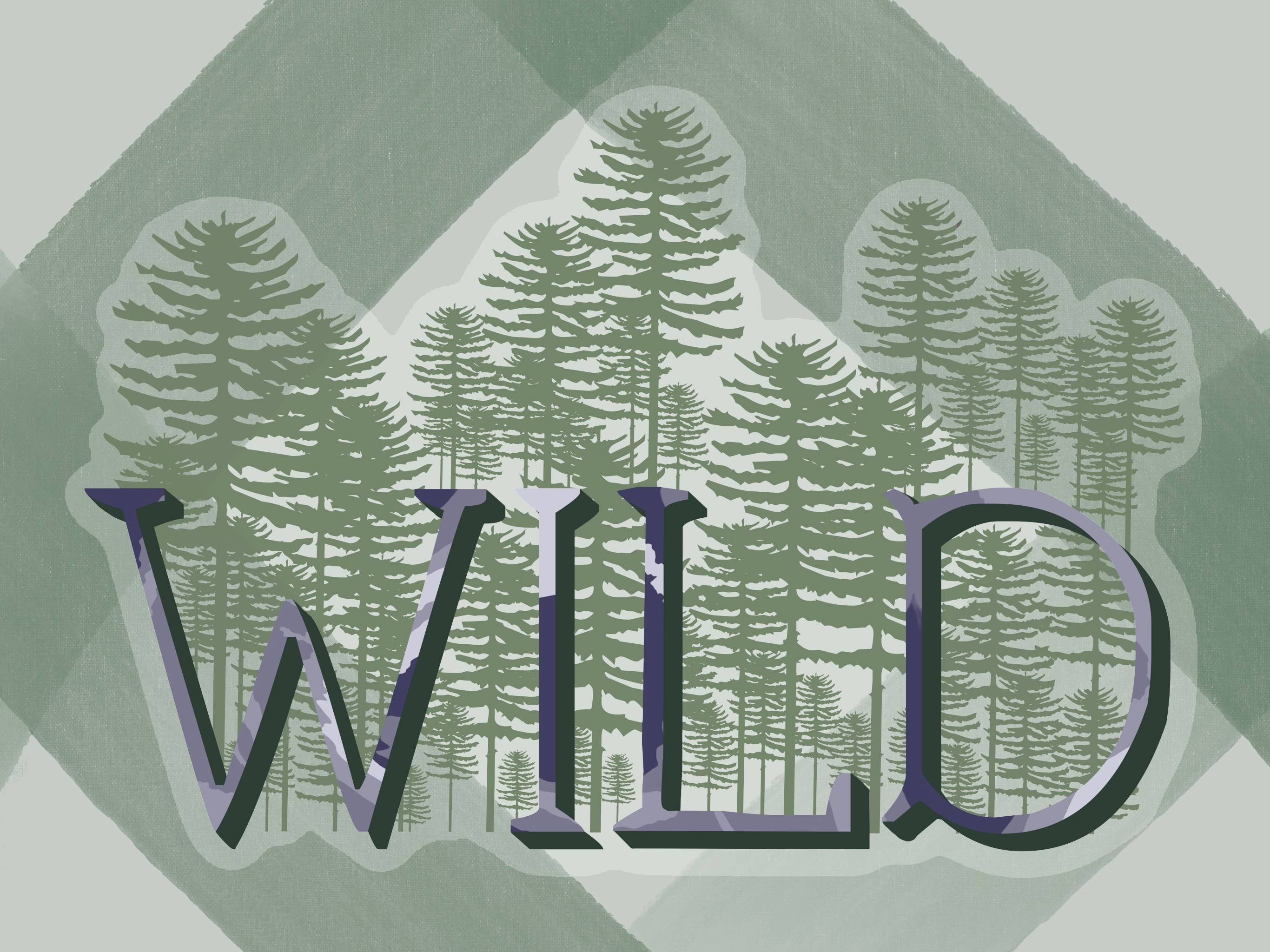 Kellio Studio – wholesale Sticker – Camping / Outdoorsy / Off Roading / Outdoor Stickers9