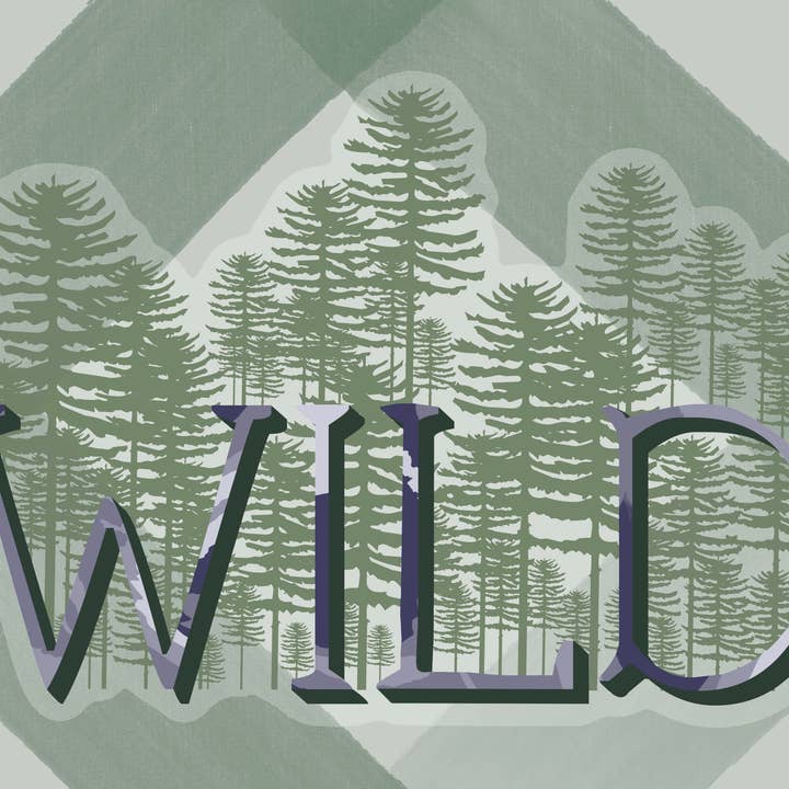 Kellio Studio – wholesale Sticker – Camping / Outdoorsy / Off Roading / Outdoor Stickers9