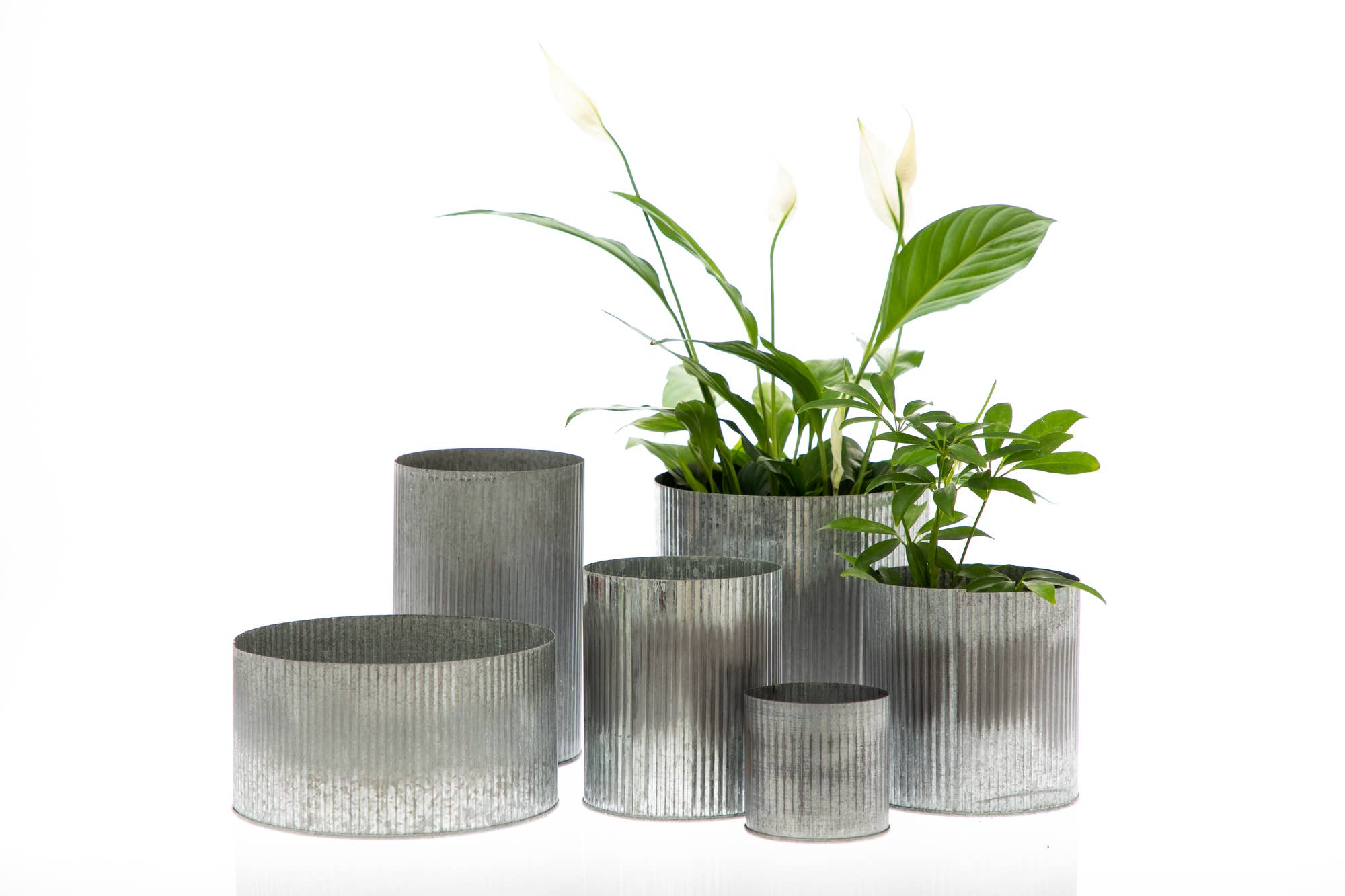 UNIMIX FLORAL – wholesale Vas – Galvaniserad plåtkruka för bröllop, evenemang och vardag 7,6x7,6 cm8