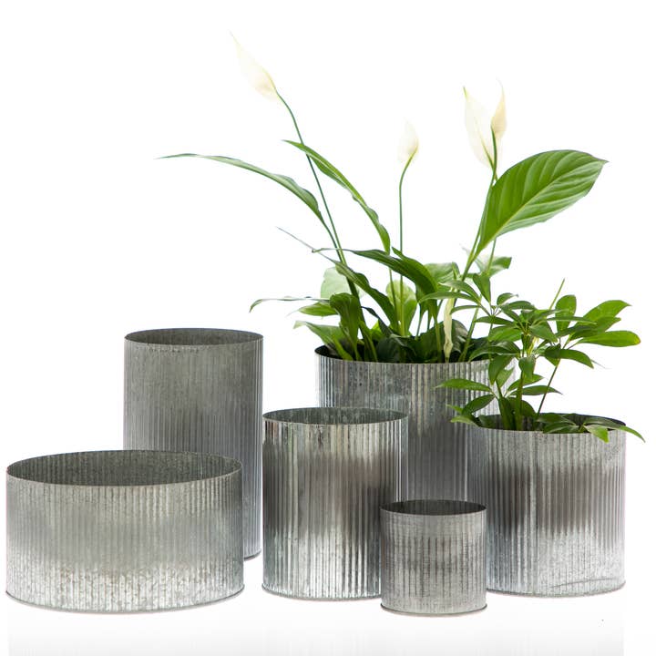 UNIMIX FLORAL – Engroshandel Vase – Tin Galvaniseret Pot Bryllup, Begivenhed & Hverdag 4.5 „x5.5"4