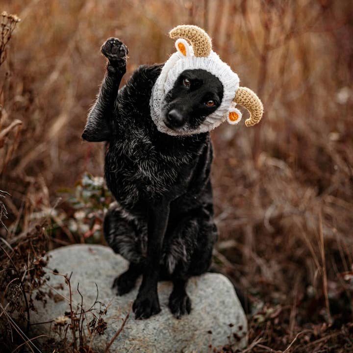 Zoo Snoods - Wholesale Pet Snood - Dog - Goat Ram Dog Snood8