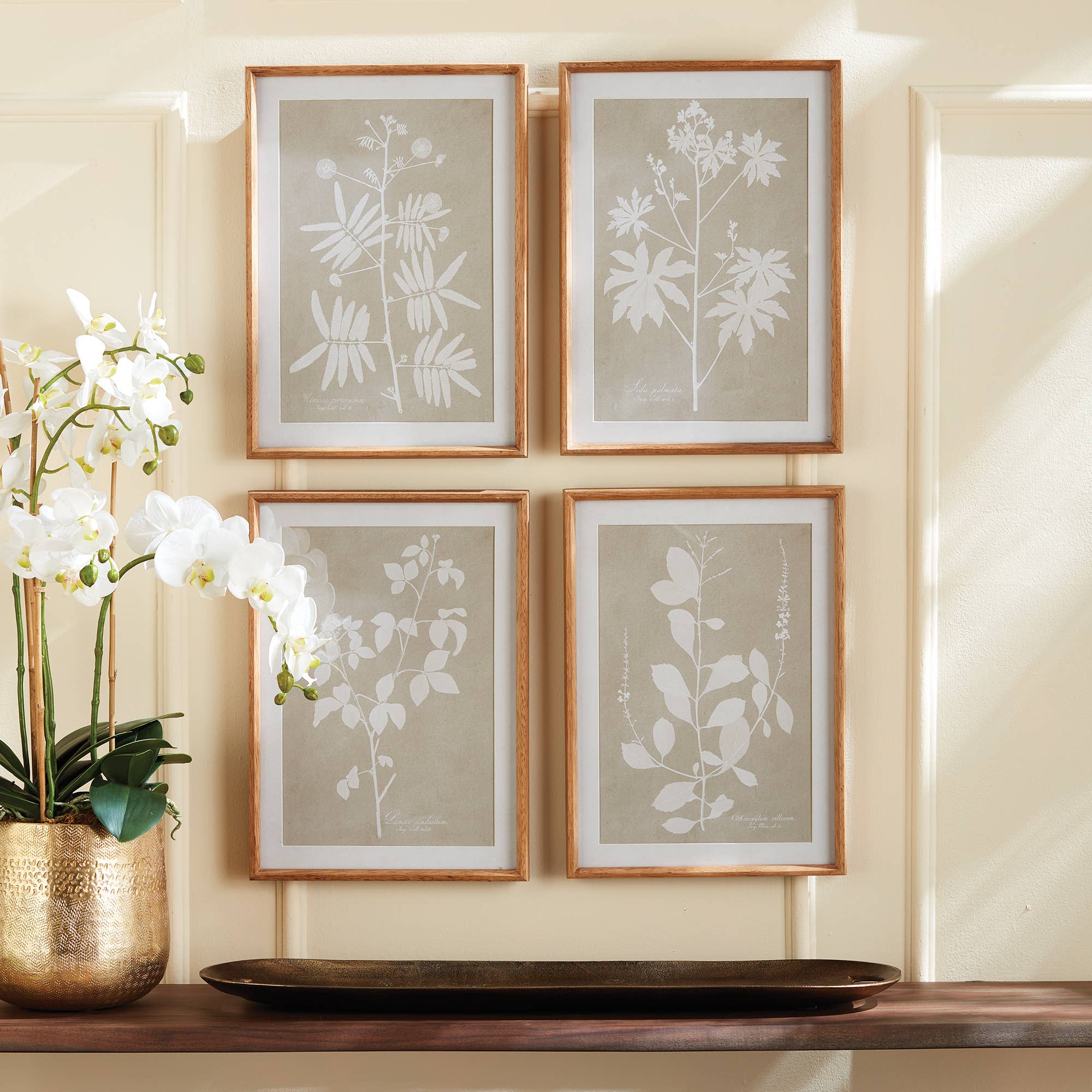 Napa Home & Garden – wholesale Gallery wall set – Foliage Study, Set Of 41